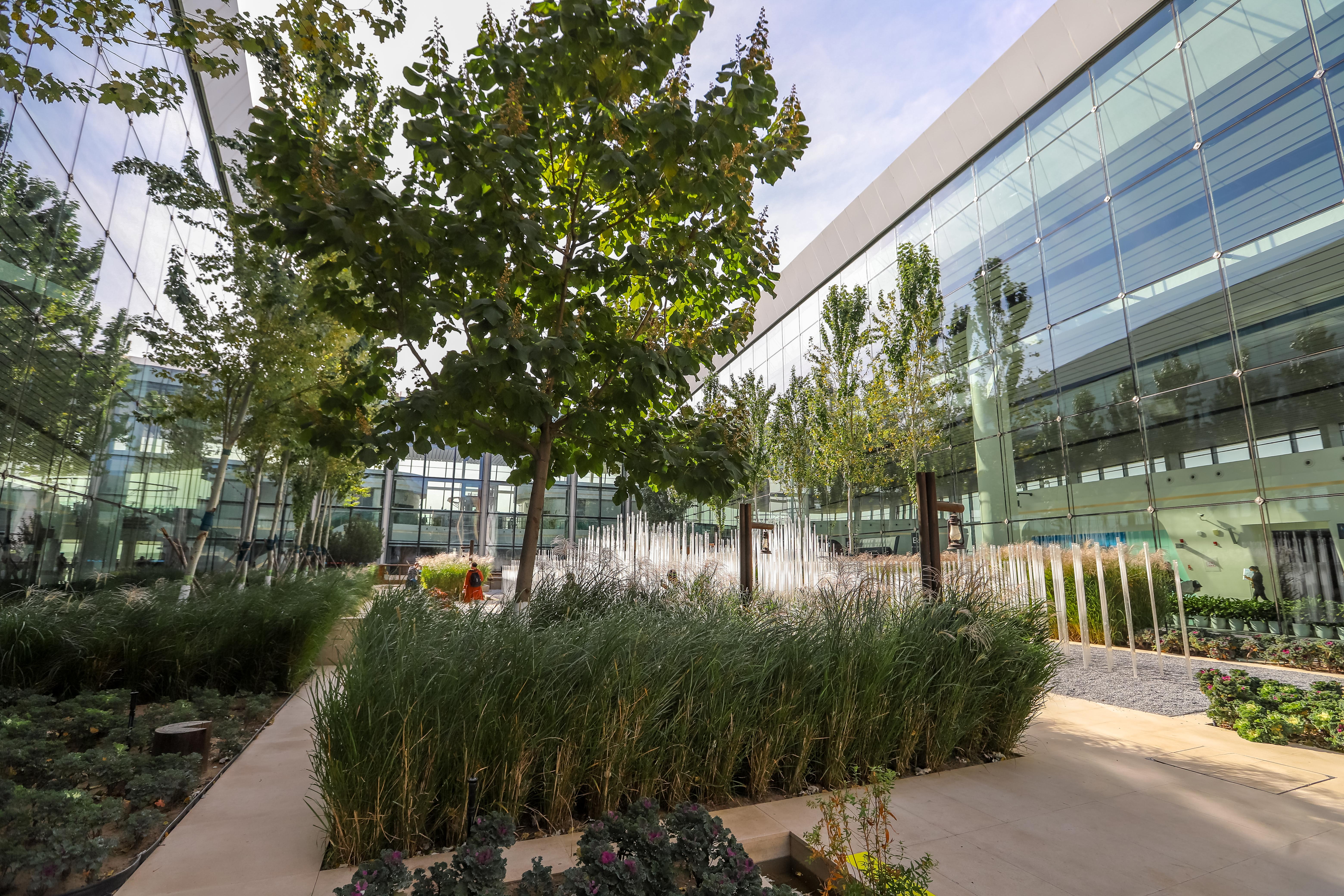 北京新晋网红打卡地,打卡北京新晋网红景区