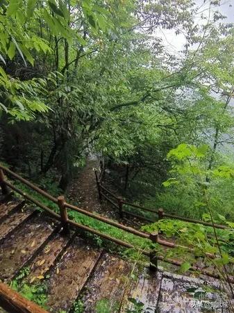 温度升高之前采摘樱桃,成都周边可摘樱桃的古镇