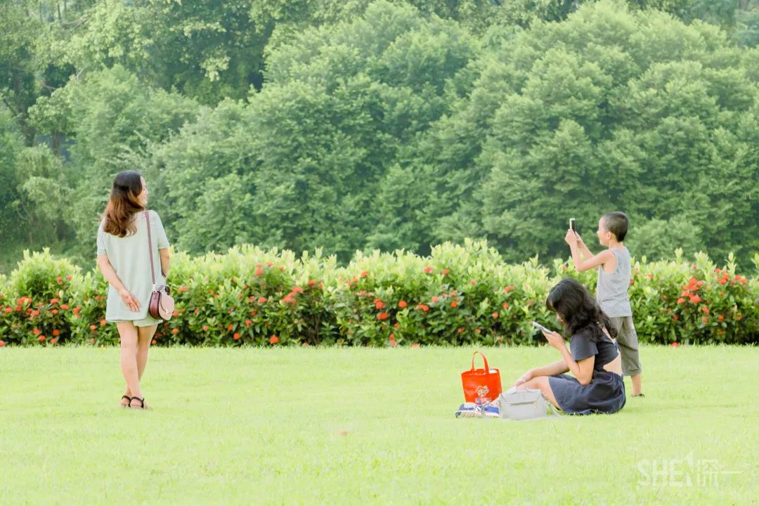 深圳疫情过后的商业街景,疫情过后深圳哪个商场最好