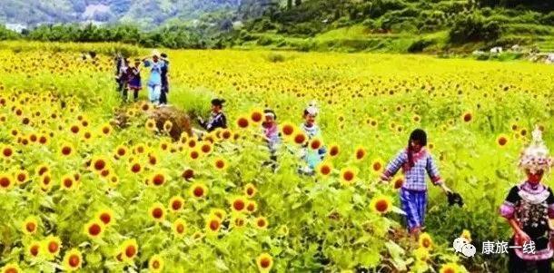 温泉康养旅居抱团养老好地方,养老康养行业前景
