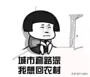 海鲜大礼包简介,什么是海鲜大礼包