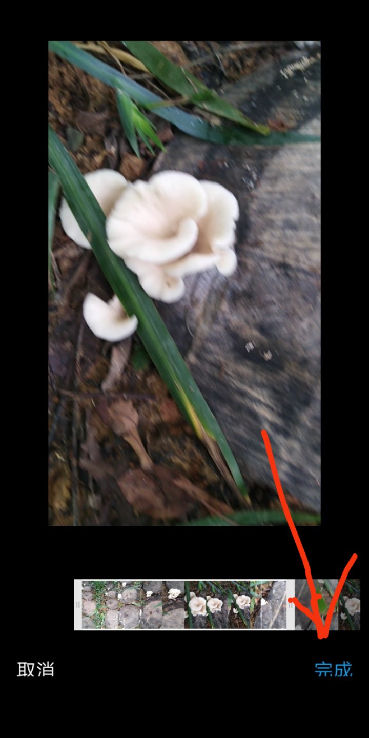 教你如何在朋友圈给自己拍的视频加音乐和文字