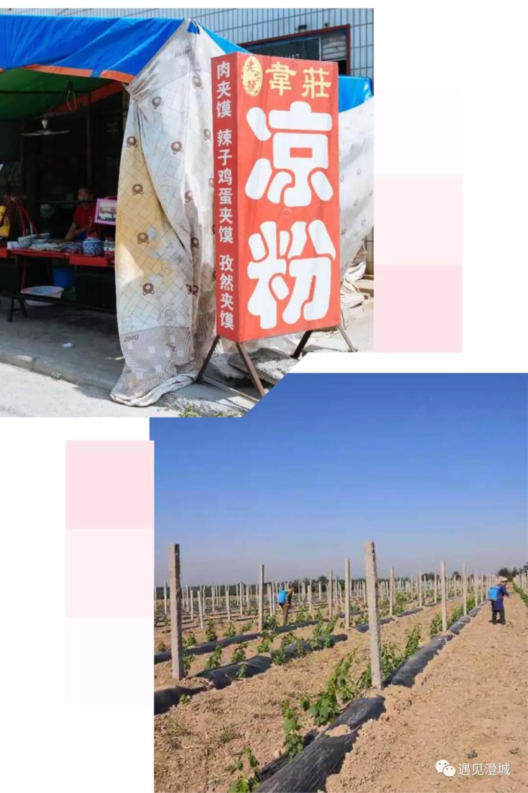 韦庄镇好运古建,澄城县好运古建文化产业园怎么样