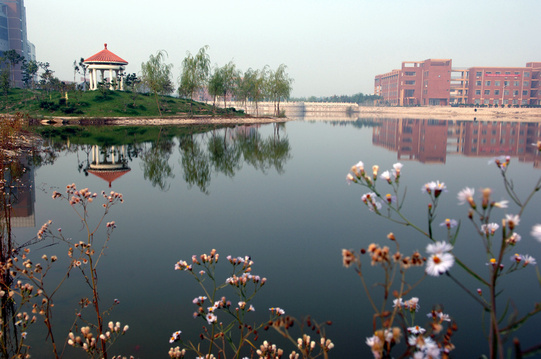 滨州在山东的位置,山东滨州位置