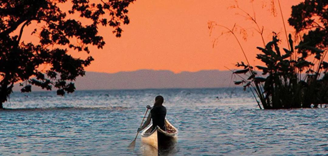 WheretheCrawdadsSing是一本什么样的书？