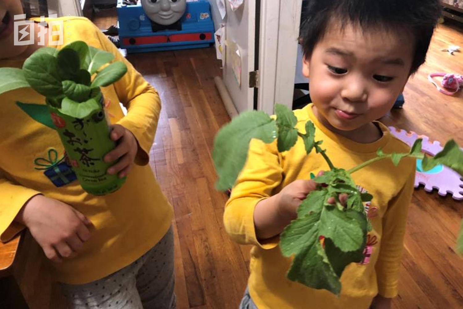 我卖掉北京房子，带着家人在美国打拼，发现美国不是想象中那样