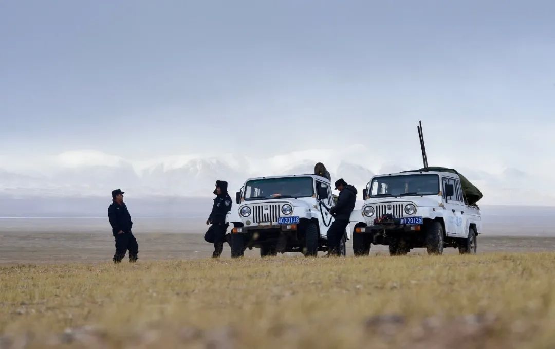 可可西里巡山队与盗猎者,独闯可可西里无人区