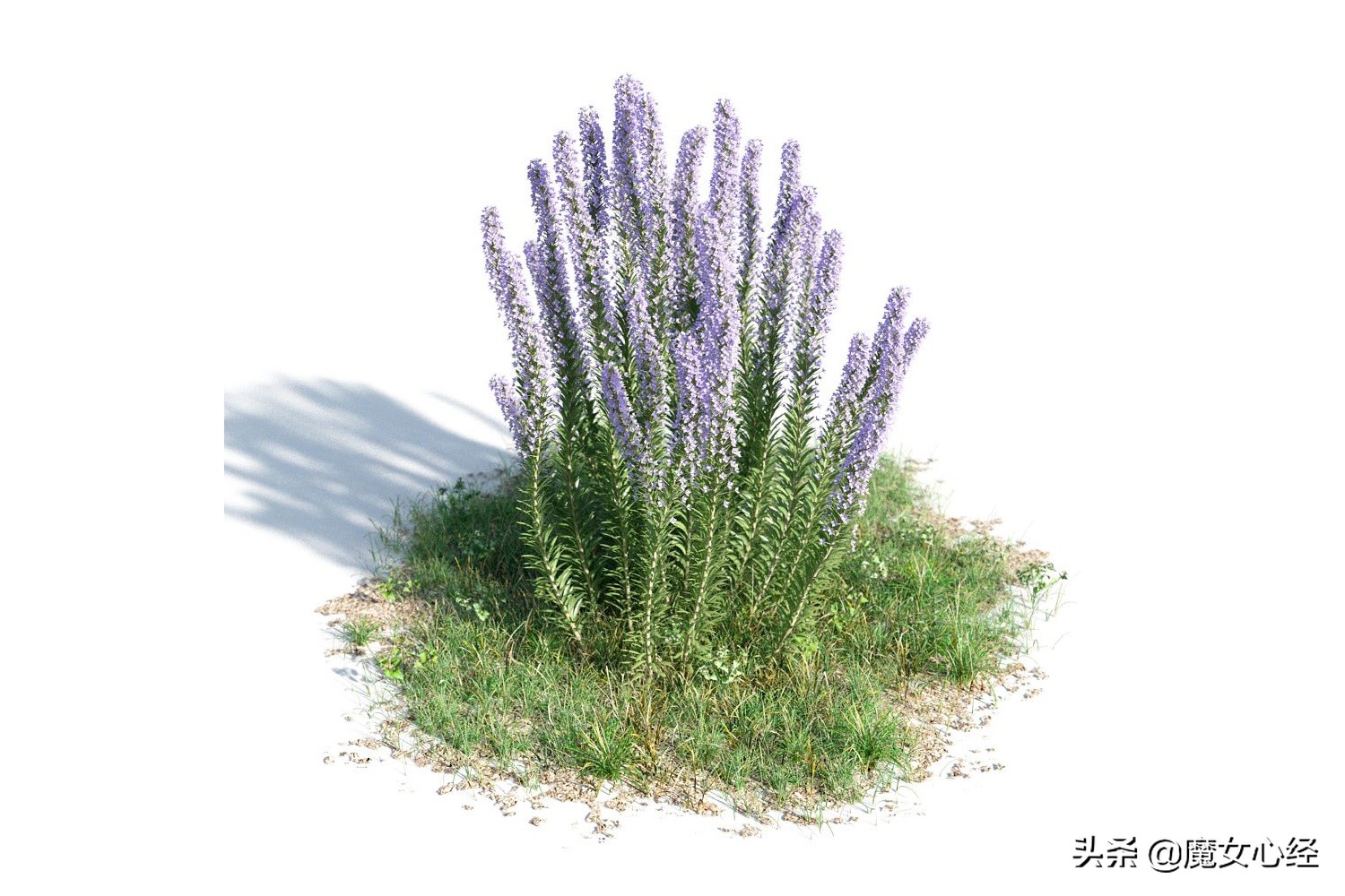 护肤品中的补水保湿成分,修护类护肤品适合哪些肤质