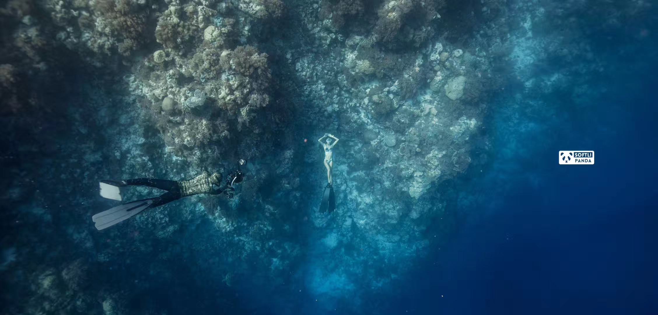 帕劳潜水旅游攻略,马尔代夫对比巴厘岛普吉岛帕劳