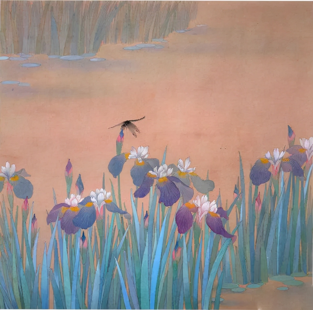 杜曼华美人蕉工笔画,淡雅空灵杜曼华工笔花鸟作品40幅