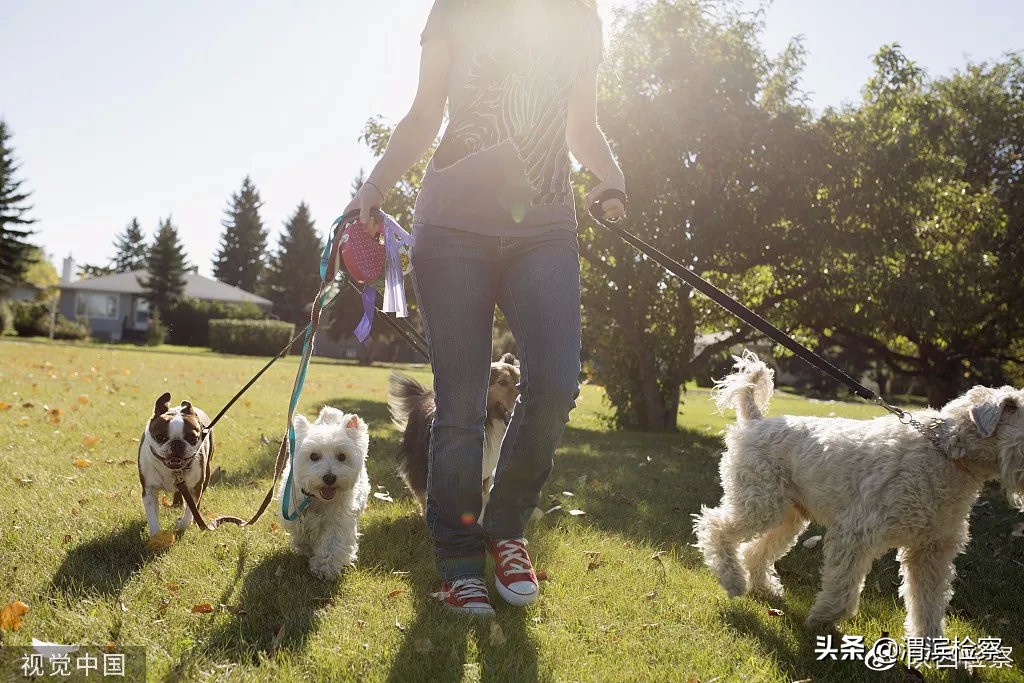 我有一份鸡排，你能帮我“代吃”一下吗？