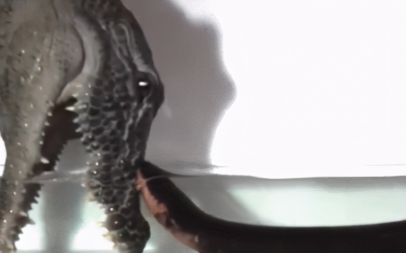 电游三巨头,雷河三巨头