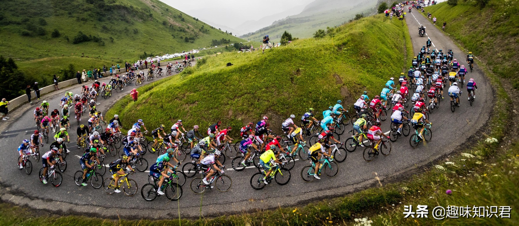 趣味又热门的冷知识大全,新鲜冷知识视频教程