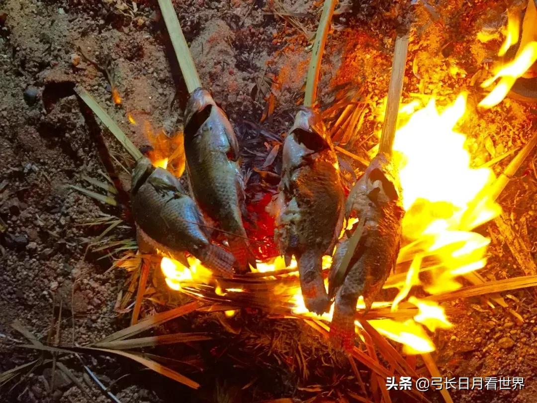 埃及算是花钱最少的国，后来没想到这记录被接下来的苏丹给破了