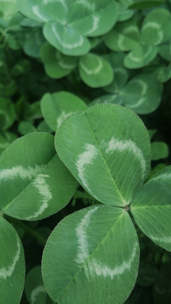 当工作中受到委屈时怎么安慰自己,工作中遇到委屈该怎么做