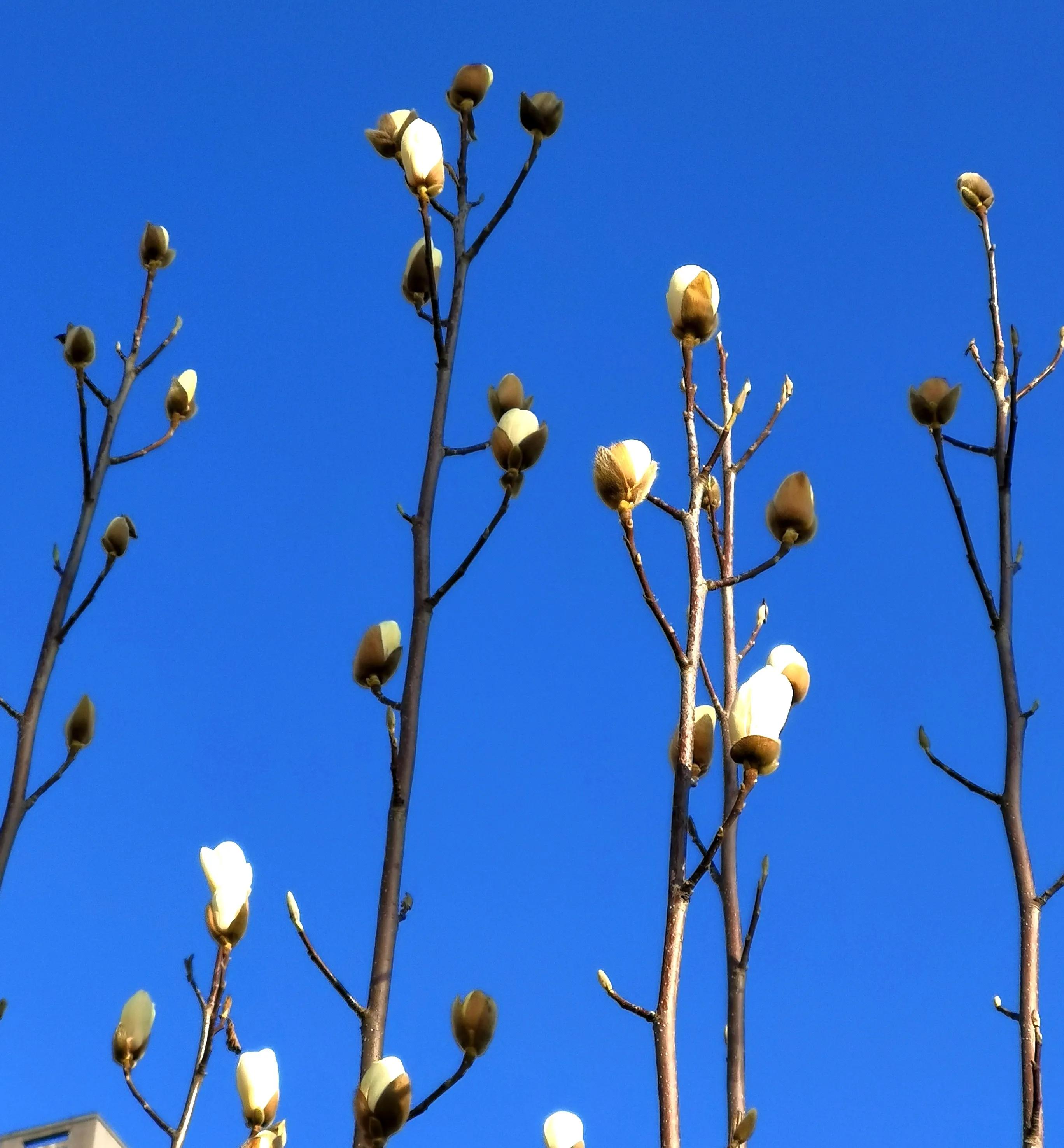 *访上**不当也会违法的（详解）