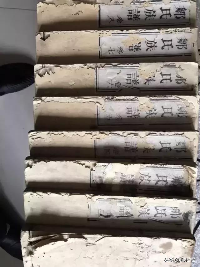 东北邹氏家族族谱字辈排名,邹氏家族字辈整理