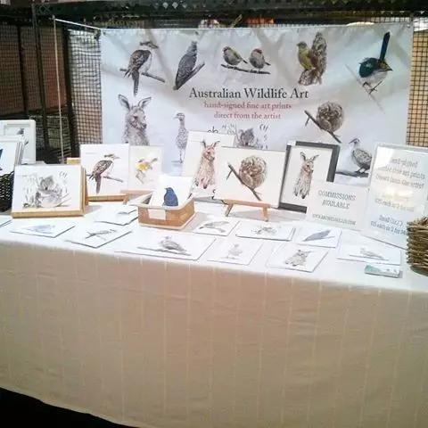 画鸟彩铅教程,画鸟彩铅