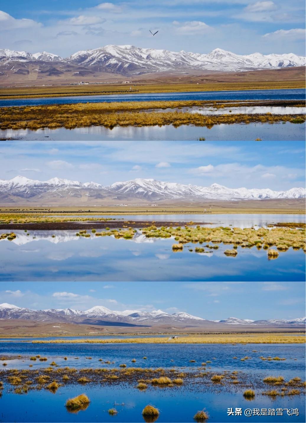 川西若尔盖7天自驾游,自驾9天若尔盖