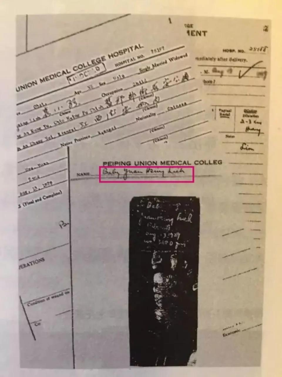 突破粮食“卡脖子”,“神农”袁隆平,职校教师如何喂饱中国人?