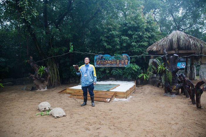 长隆飞鸟乐园湿地精灵,长隆飞鸟公园一日游攻略