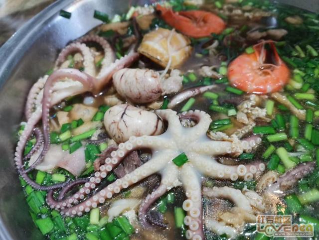 见微:藏在“天价米粉”里的聪明又好吃的小萌宠——八爪鱼