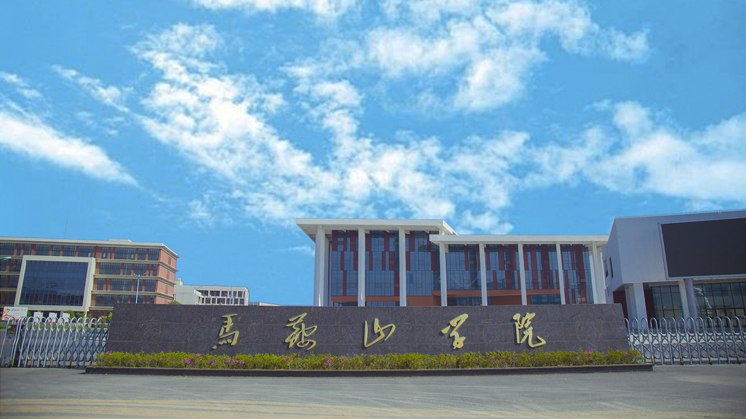 安徽省十大最具潜力高校,安徽省民办高校