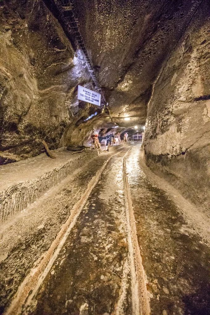 游记｜波兰—你所不知道的童话国度