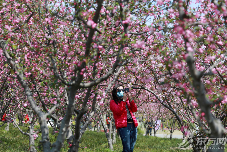 冬日暖阳黄兴公园的美景,公园黄兴公园