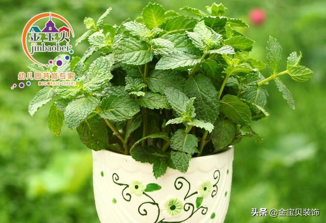 新幼儿园装修怎么去味,幼儿园卫生间异味怎么消除