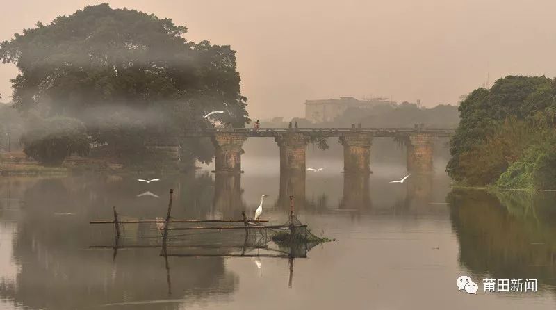 爱你没商量直播吗,爱你没商量海南