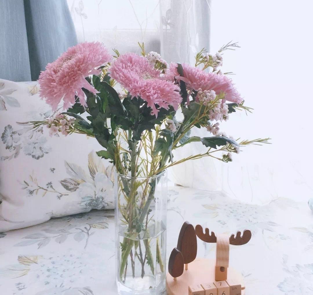 可爱的代名词是什么意思,可爱的代名词歌曲