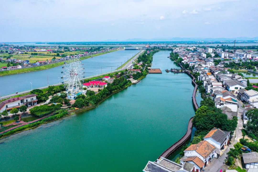 一条鱼在锅里煮的做法,一条鱼在各地的吃法