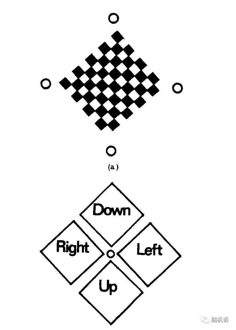 ​《脑机往事（3）—维达尔的秘密》