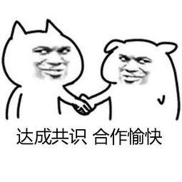 蓝牙为啥是英文提示音,蓝牙为什么叫BT