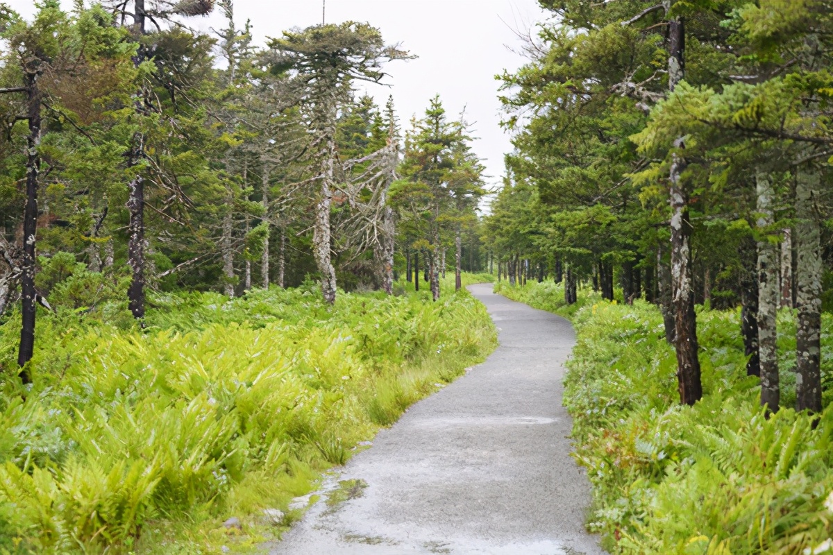 加拿大汉密尔顿旅游景点,卡伯特公路
