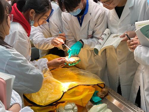 虚拟仿真实验虚实结合,虚实结合实训教学模式