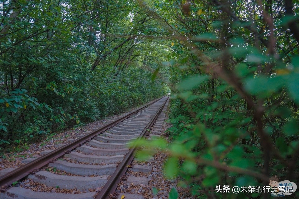合肥春节有哪些景点值得去,合肥适合春节去旅游的地方
