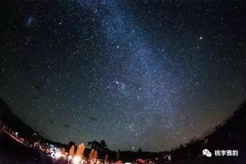 孟兆伟诗歌全集,桃李诗歌完整版