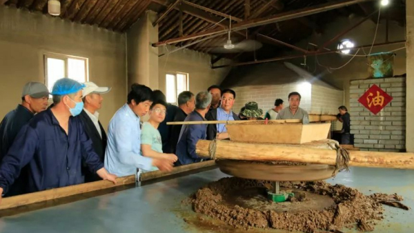 农村创业项目推荐,农村创业项目推荐大全