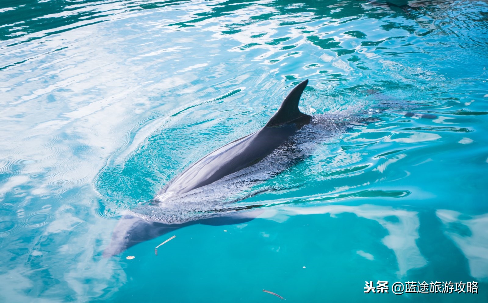 全球最值得去的海岛,国外人生必去的海岛