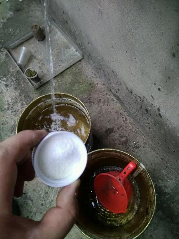 养花忘记浇水的幽默句子,养花浇水不知道量怎么办