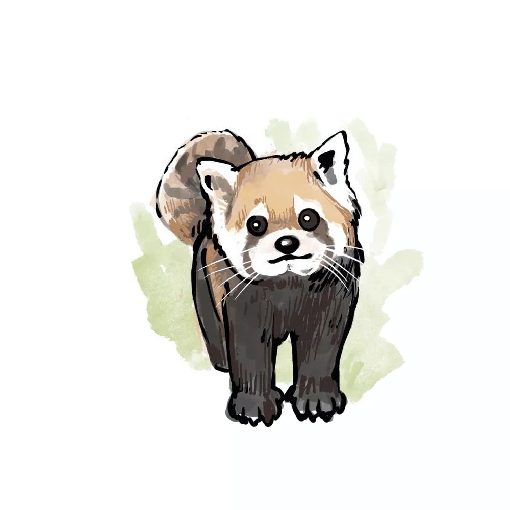 嘉年华快报：杭城万名神兽出动，破解七大自然悬案