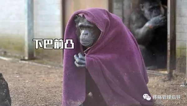 为什么天冷肩颈就痛起来,为什么天冷颈肩不舒服