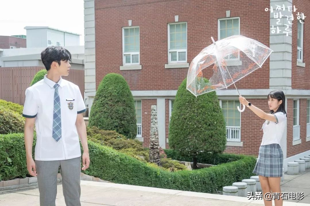 豆瓣8.0以上日剧,豆瓣8.8分韩剧