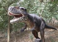 58抢花都志惠农场+玻璃桥套票惊险横跨268米更有环球飞车项目