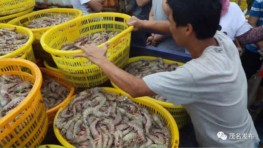 贵州黔西美丽乡村入画来,美丽的乡村茂名