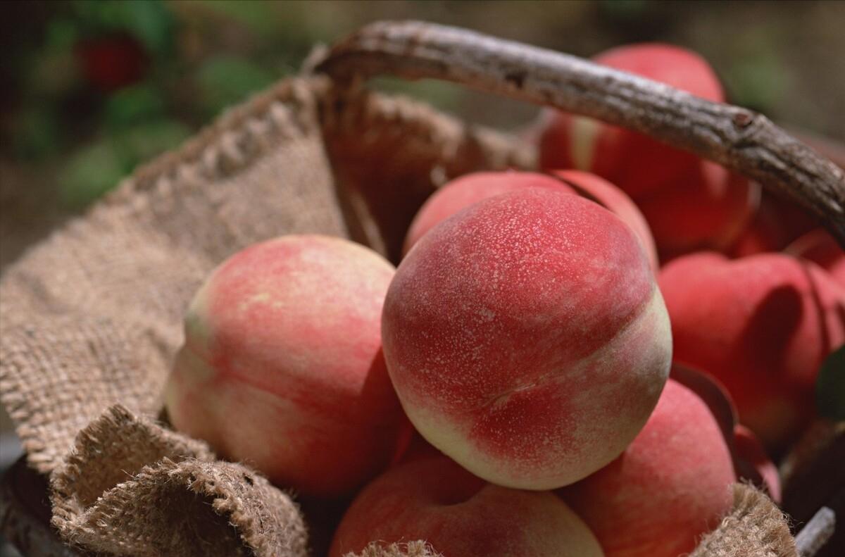 农村大叔种植桃子,农村大叔新发明的种植技术