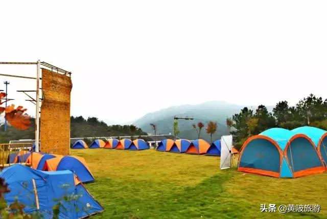 清凉寨樱花最佳赏花时间,清凉寨中华樱花