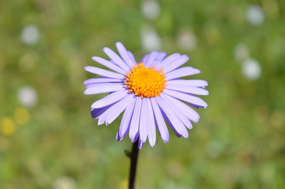 学生怒斥老师真实事件,学生叛逆气得校长火冒三丈